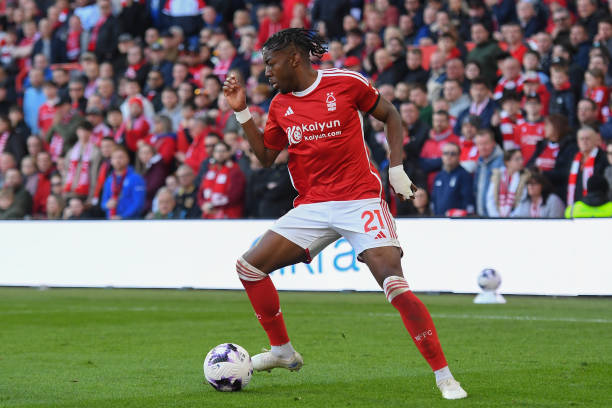 經驗不足的 經驗不足的