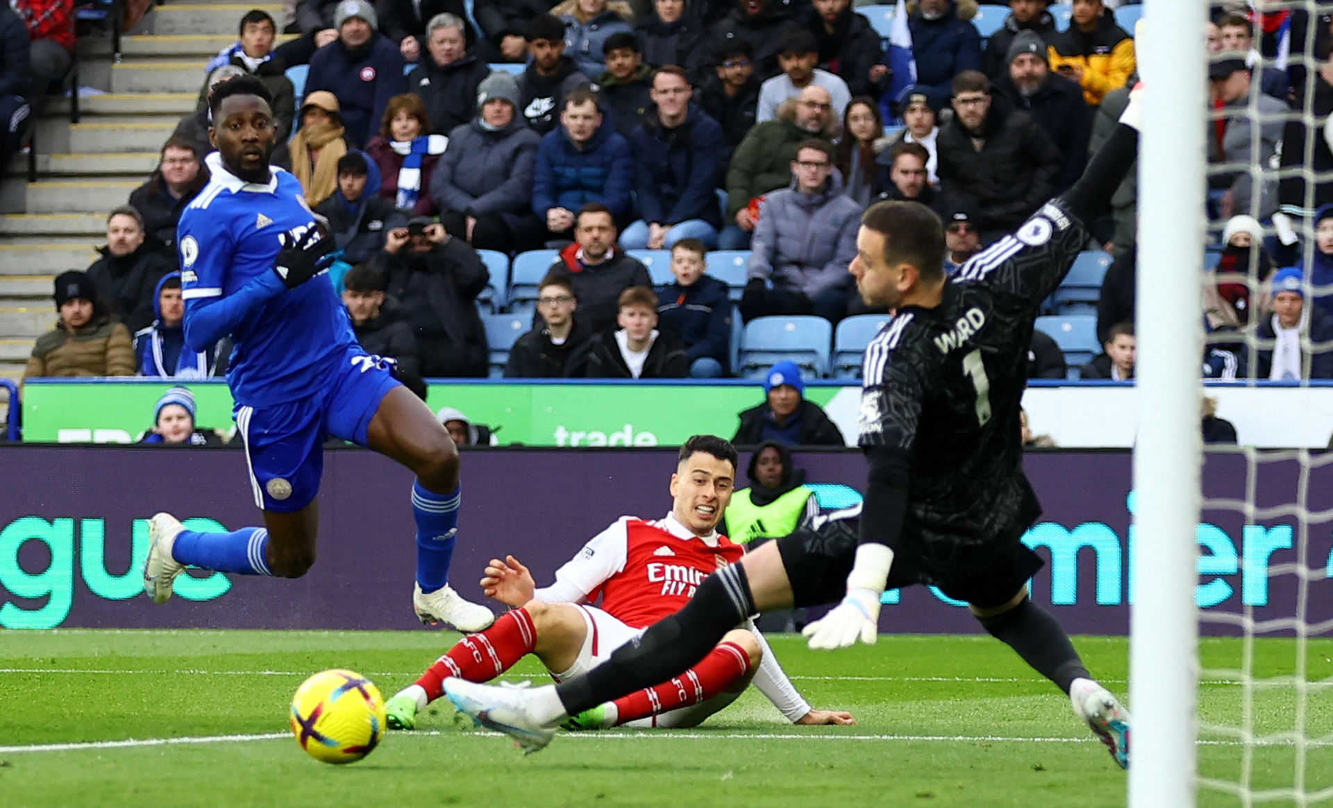 圣日耳曼青 圣日耳曼青