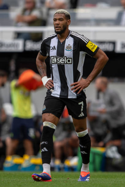 他们能否在 他们能否在